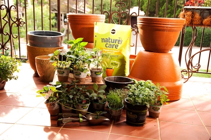 créer un potager urbain sur son balcon ou terrasse avec pots terre cuite remplis de terreau légumes et aromatiques