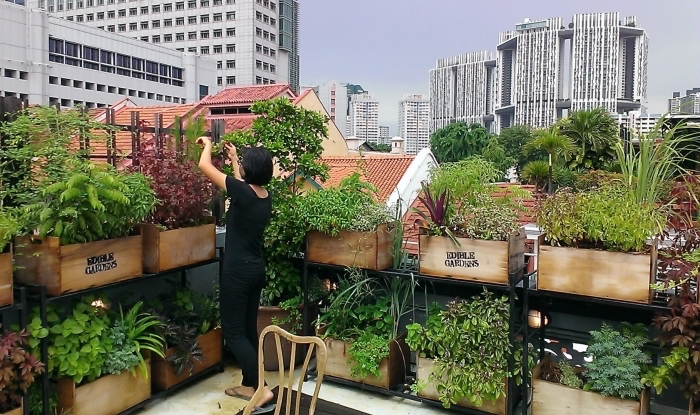 exemple comment transformer une terrasse en mini jardin urbain avec carré potager sur pied ou potager vertical