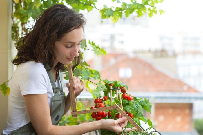 comment faire un potager sur le balcon avec tomates cerises ou plantes aromatiques, inspiration de jardinage urbain dans appartement