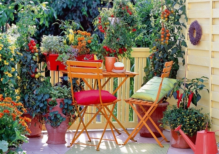 jolie décoration d'espace extérieur appartement ou maison avec création de mini potager balcon avec légumes en pots
