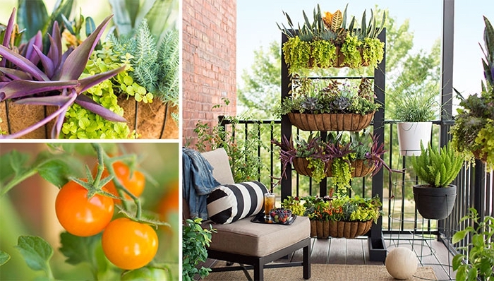 idée pour espèces de légumes et plantes comestibles à cultiver sur le balcon, potager vertical avec aromatiques