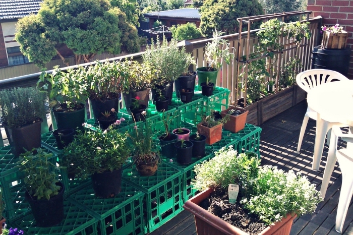 aménagement de terrasse en potager vertical ou horizontal avec légumes et plantes aromatiques en pots