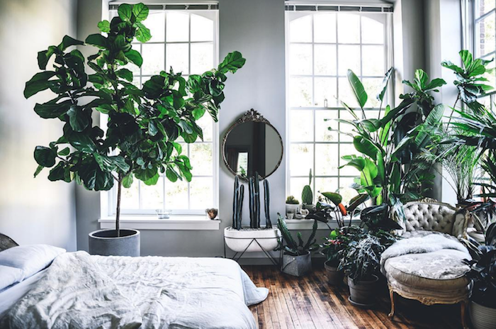 Décoration appartement étudiant décoration d intérieur design d appartement moderne plantes vertes chambre à coucher nature