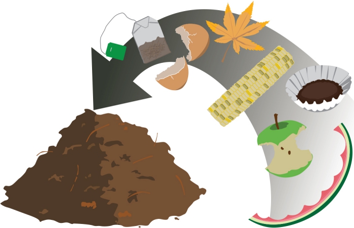 illustration pour comprendre comment fonctionne le compost, produits et matières à utiliser pour créer un engrais naturel