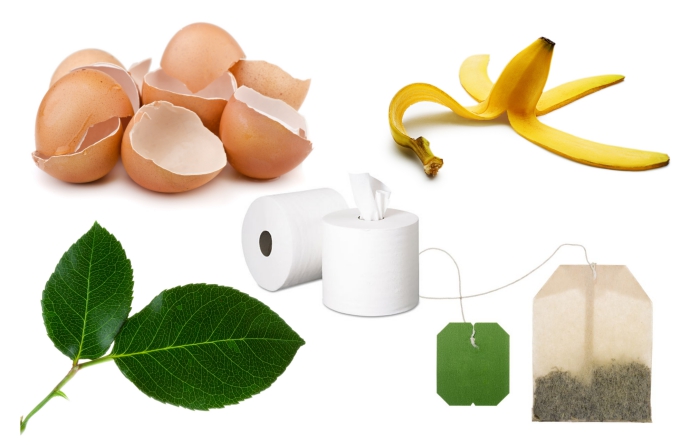 quels produits utiliser pour activité le processus de compostage, coquilles d'oeufs et pelures de fruits pour compostage