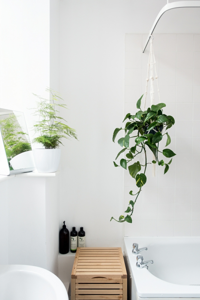 salle de bain verte, plante pour salle de bain, plantes d'appartement, plante tombante, coin baignoire blanche, lavabo blanc