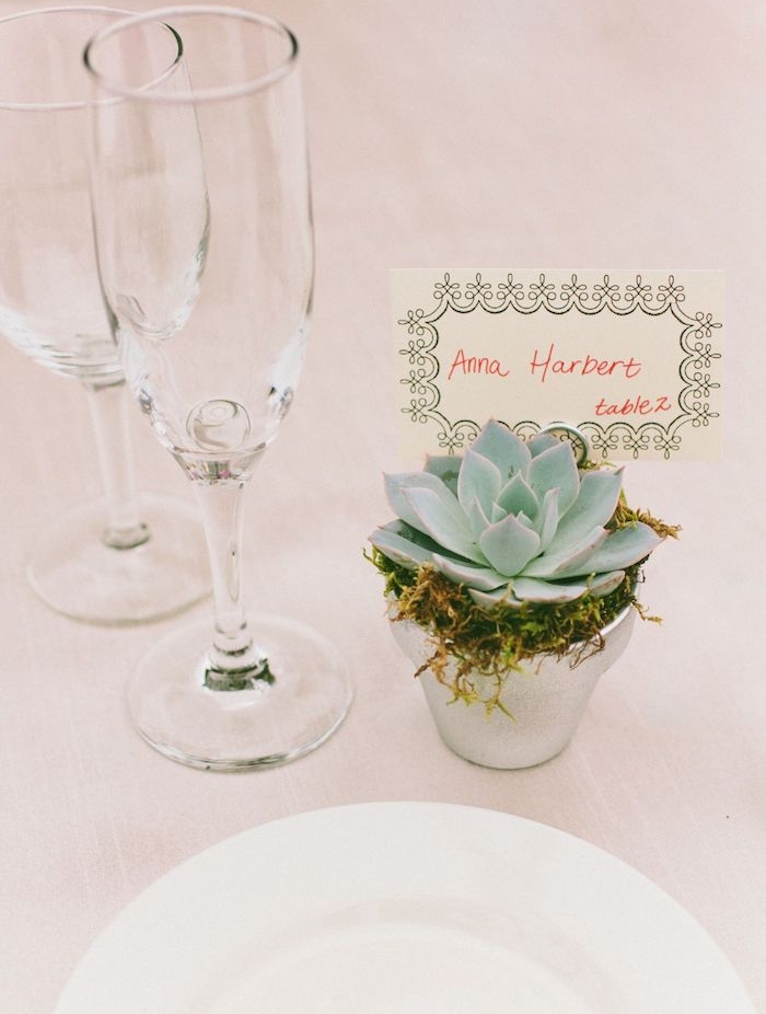 pot de fleur argenté succulent avec mousse et plante et étiquette prénom invité, nappe blanche, assiette blanche, verres de vin