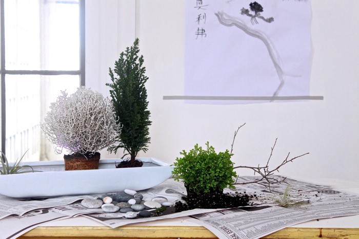 miniature jardin miniature zen décoratif avec petites plantes en pot