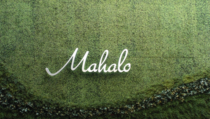 mur végétalisé avec une inscription en métal aluminium Mahalo, mur vegetal exterieur avec inscription nom de l'édifice, motifs ondulants en deux nuances différentes du vert 