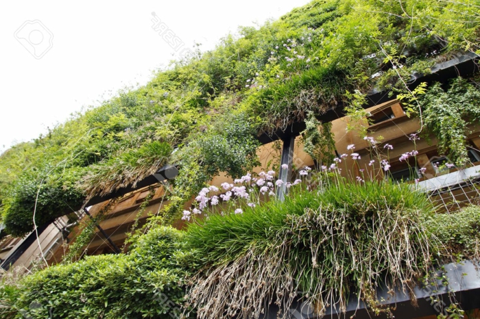 mur vegetal en palette, culture verticale, immeuble avec la façade couverte de vert et de fleurs roses, des balcons bien isolés du bruit et des regards indiscrets 