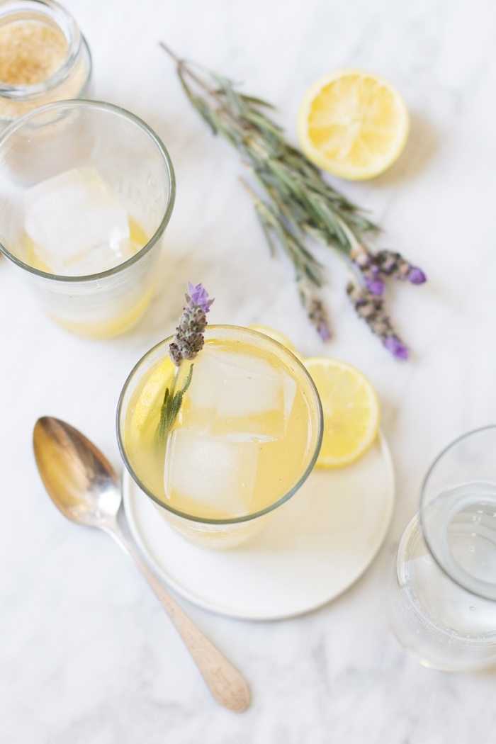 boisson fraîche préparée à domicile avec eau froide et fruits, verre cocktail garni de tranches de citron et feuilles