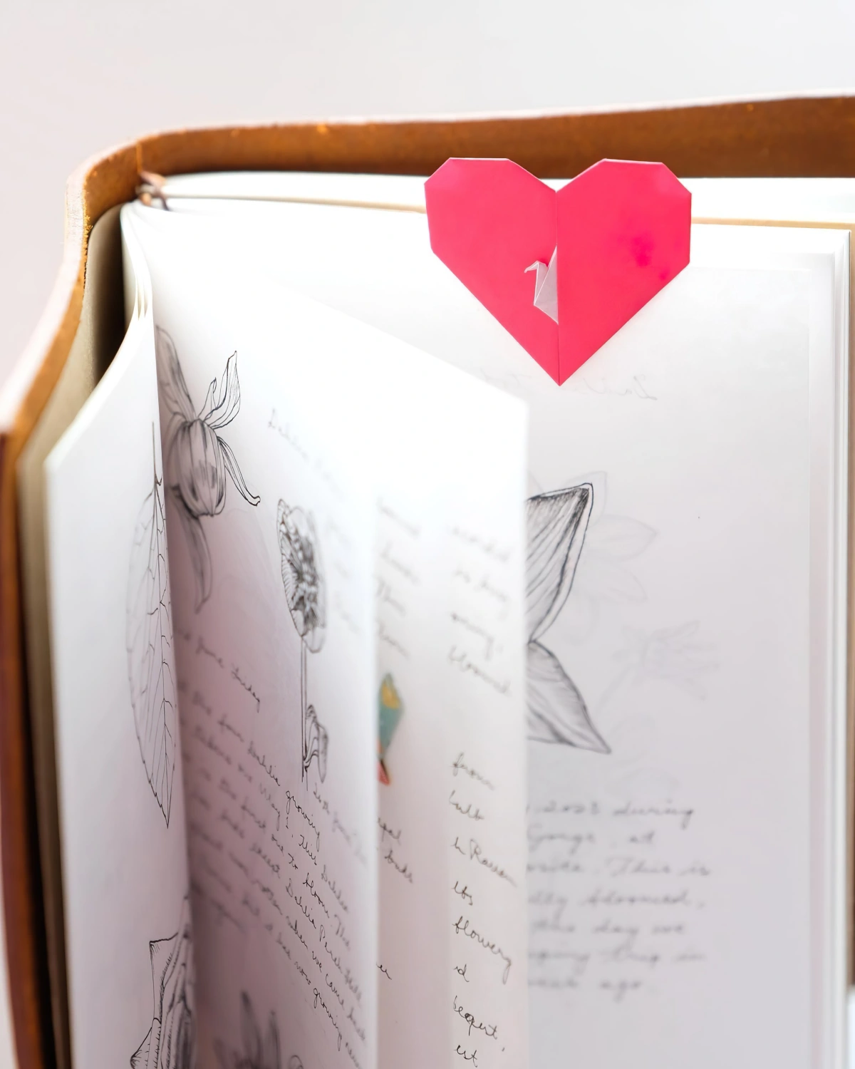 carnet pages dessins notes agenda coeur papier rouge pliage