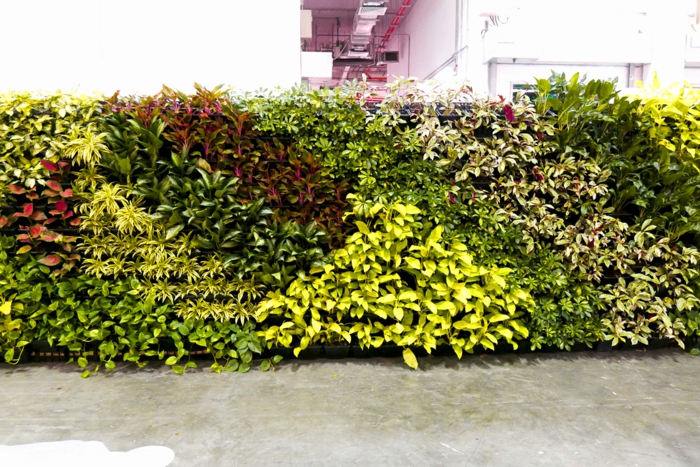 séparation d'espaces avec une cloison végétale avec des plantes en vert réséda, en vert foncé et en rouge, sol recouvert de dalles imitant le marbre