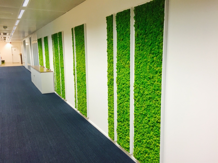 mur végétal intérieur, panneaux verticaux rectangulaires avec de la mousse verte, couloir en longueur avec des murs blancs et sol recouvert de parquet encastrable en gris anthracite 
