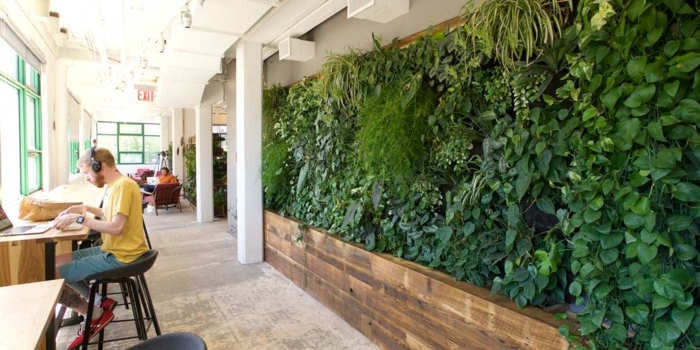 mur végétalisé dans un local, bibliothèque avec des étudiants, de la végétation verte sur toute la largeur des murs, salle lumineuse 