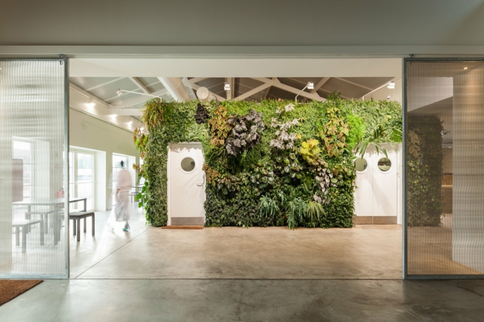 mur végétal intérieur, espaces ouverts dans un édifice SPA, plafond avec des poutres en bois, sol recouvert de revetement imitation marbre