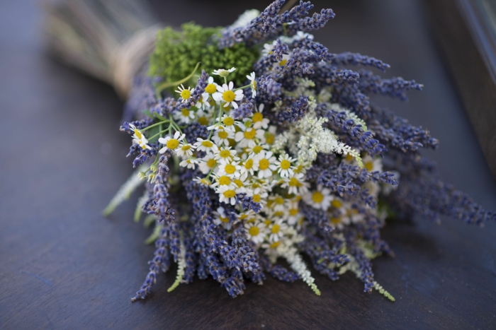 petites marguerites et brins de fleurs violets arrangées en bouquet sympathique