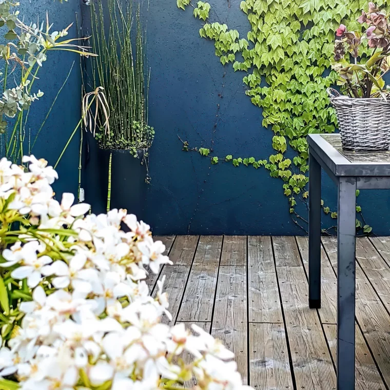 mur exterieur peint en bleu fonce plantes grimpantes