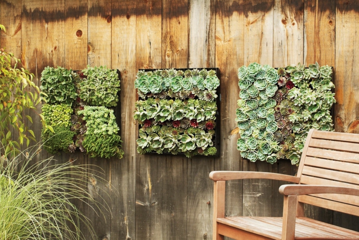 trois panneaux en bois clair avec des cactus et des plantes exotiques, cloison végétale, cloison en bois clair, fauteuil de relax en bois clair , mur vegetal exterieur palette