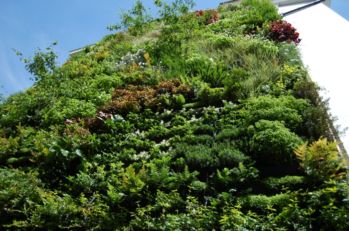 édifice au mur végétal vert, rouge et jaune, mur vegetal exterieur, plan urbain écologique, murs blancs, journée de soleil qui met en valeur le mur vert