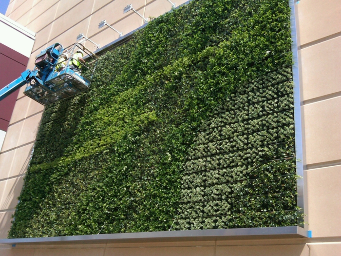 mur vegetal exterieur, gros panneau en aluminium en forme carrée, végétation verte, équipe qui entretient ce mur végétalisé, spots blancs bras long pour illuminer ce panneau de verdure 