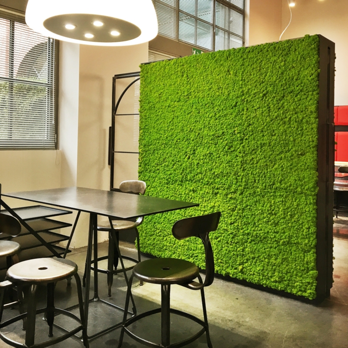 mur végétal palette, panneau carré avec de la mousse verte qui sert comme séparateur d'espace, salle a manger et salon séparés avec du vert, espace prédisposant au relax, mur végétalisé 
