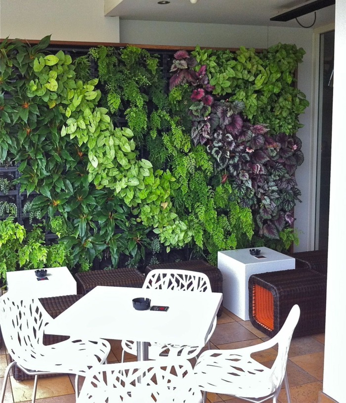 cloison végétale, grand panneau en plantes rouges et vertes, feuilles luisantes, salon de jardin avec quatre chaises en plastique blanche ajourée, table blanche carrée
