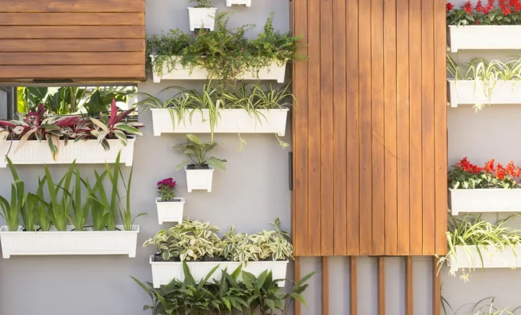 pots accroches au mur paneaux en bois plantes