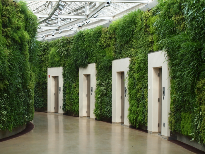 mur végétalisé interieur, couloir entièrement en vert, végétation sur tous les murs, quatre ascenseurs aux cadres en pierre blanche, toit en verre transparent en style orangerie