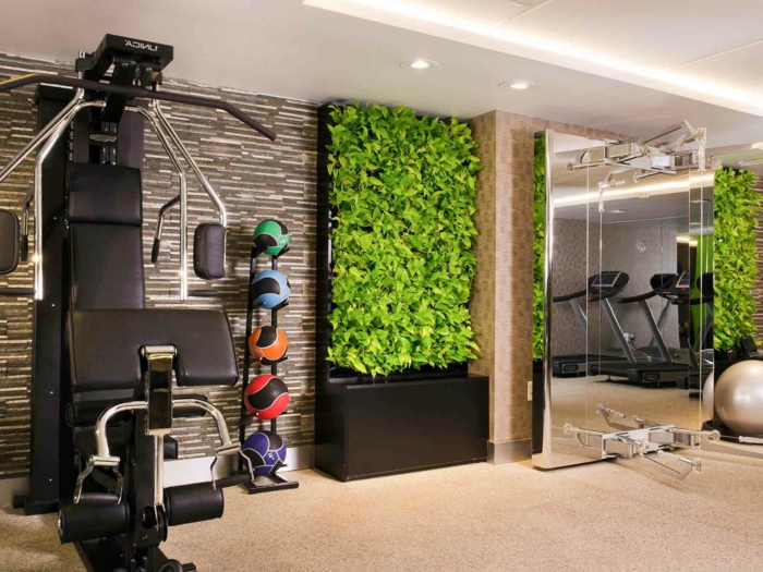 jardin vertical, plantes vertes, mur végétal intérieur, salle de fitness, instruments de sport, gladiateur et balles multicolores, mur végétalisé 