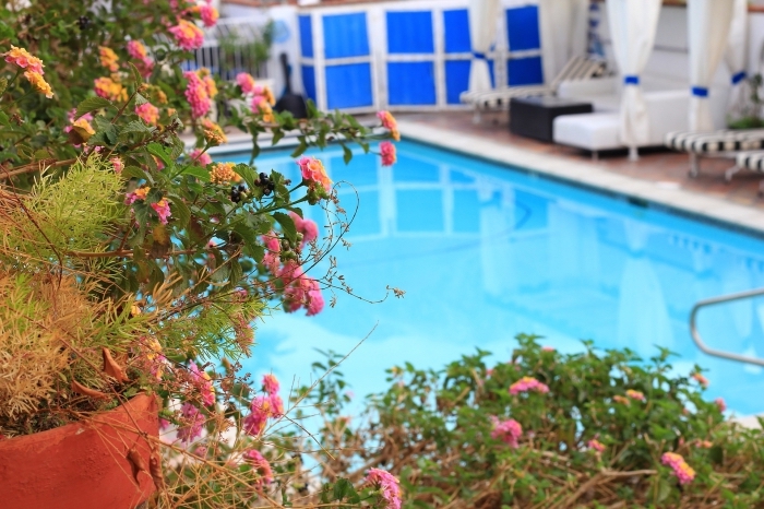 déco d'espace extérieur avec fleurs et piscine rectangulaire, choisir la meilleure assurance habitation avec garantie piscine