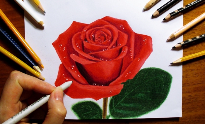 Comment Dessiner Une Rose Au Crayon Cours De Dessin