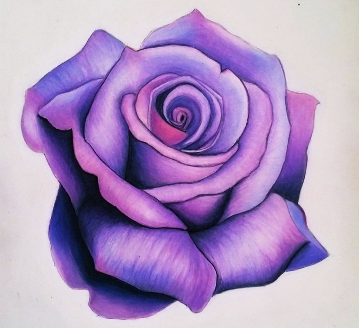joli dessin d'une rose violette réel avec technique ombre et lumière, idée comment dessiner une fleur facile, fleur dessin réaliste