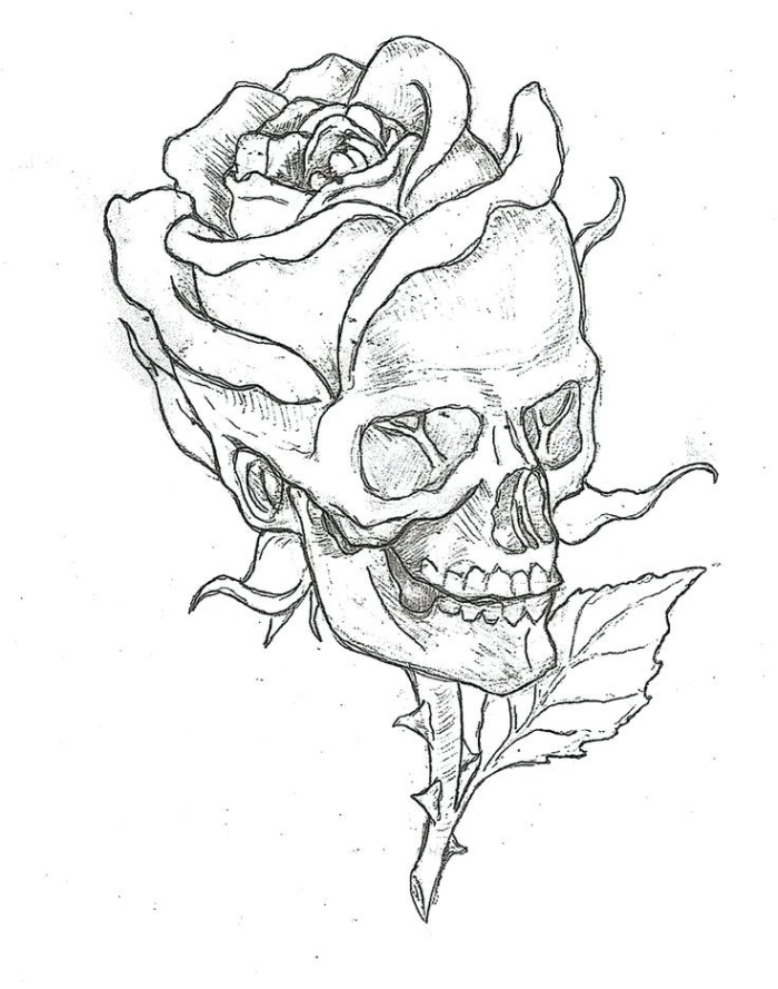 dessin fleur noir et blanc, modèle de dessin de fleur rose avec crâne et feuilles, idée comment faire un dessin en blanc et noir