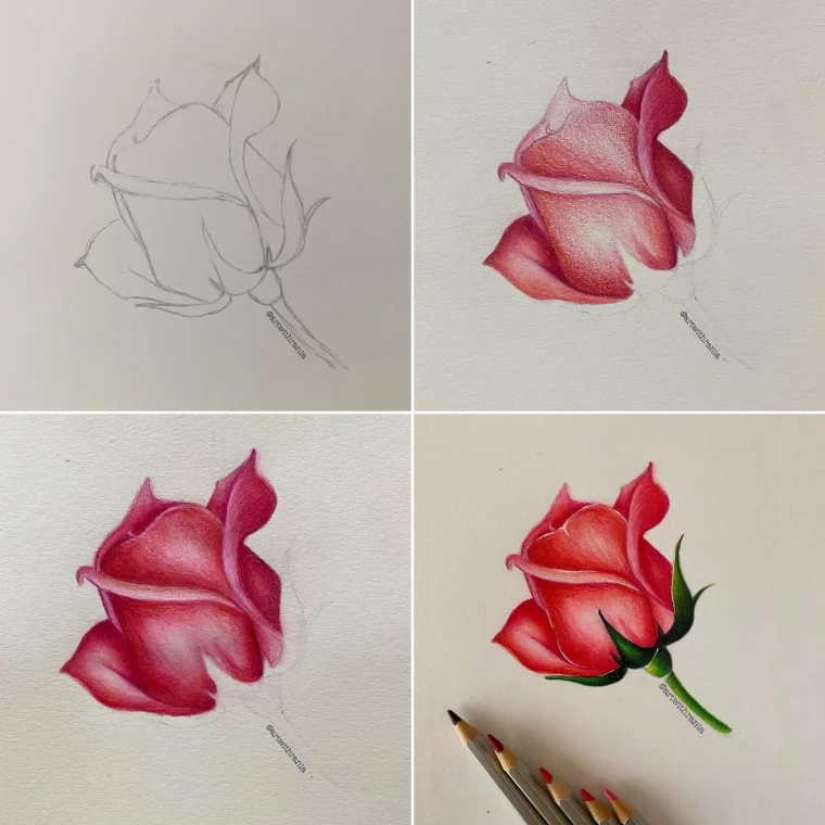 art tuto processus dessin fleur fermee rouge tige petales