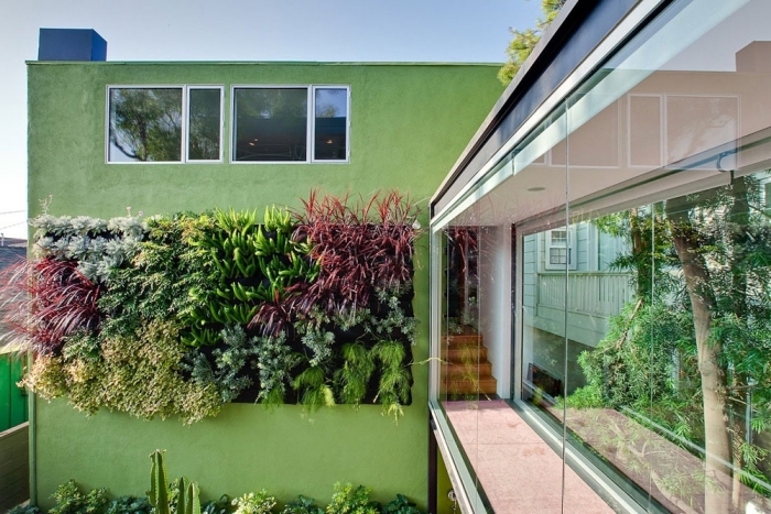maison d'architecture moderne avec façade végétalisée avec des plantes variées de taille et de couleur différente en parfait accord avec le passage en verre