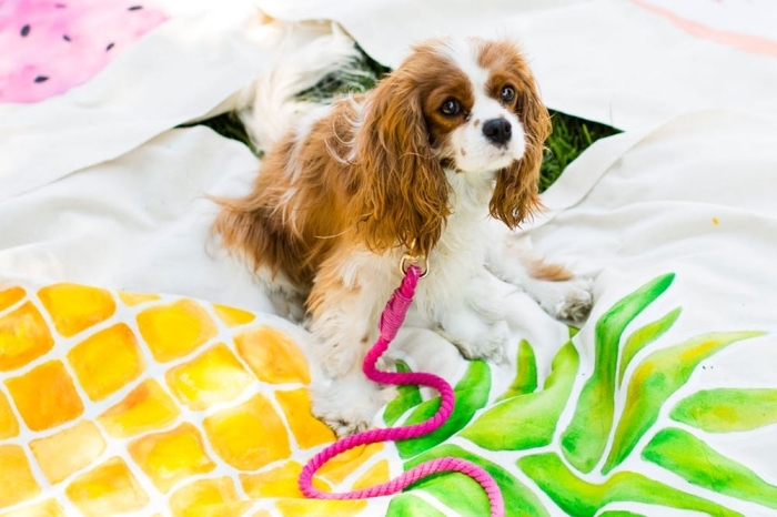 idée comment faire un accessoire pour animaux domestique, modèle de laisse chien en corde à design ombré rose
