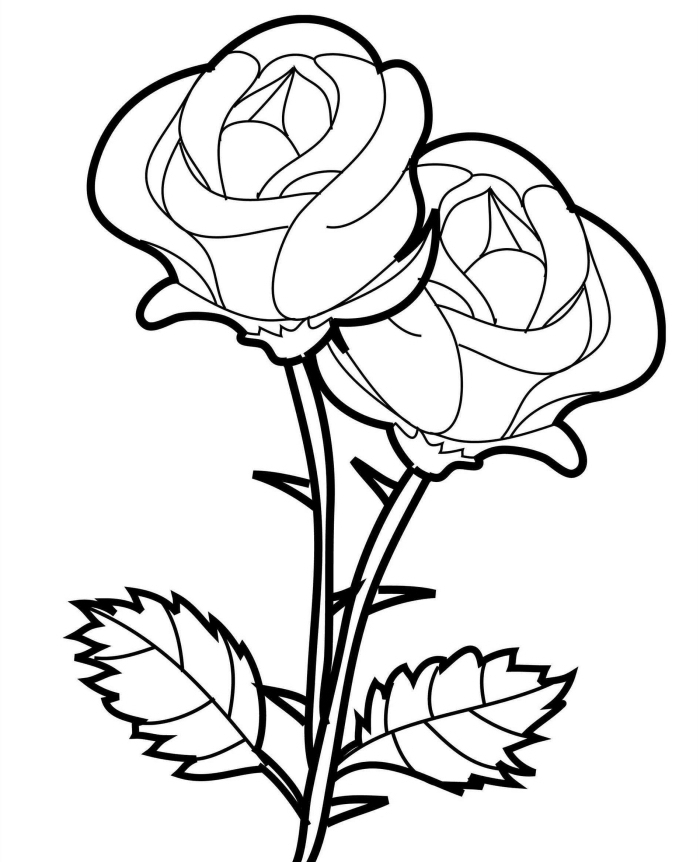 modèle de rose blanc et noir à imprimer et colorer, idée comment faire un dessin de fleur facile en blanc et noir