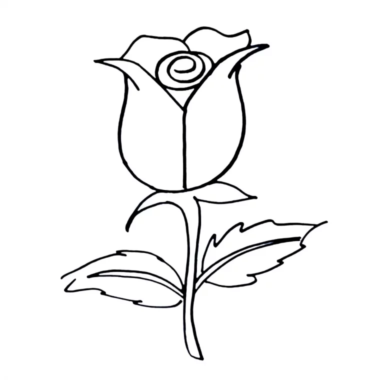coloriage a imprimer dessin facile de rose semi ouverte