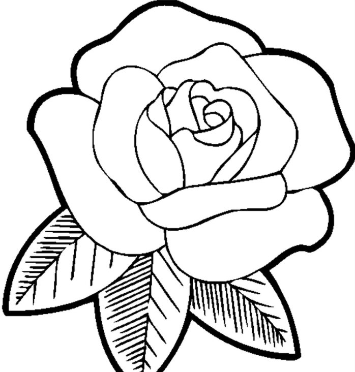 modèle de dessin de fleur à imprimer et colorer, exemple comment faire une rose facile blanc et noir, dessiner une rose facile