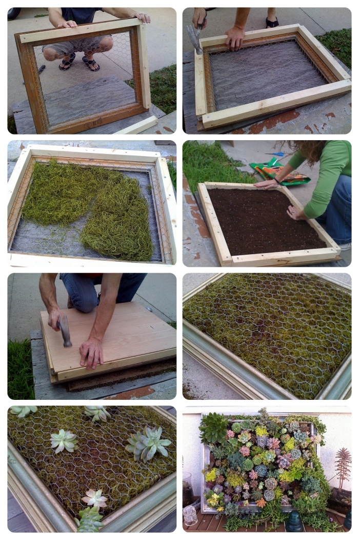comment construire un tableau vegetal de succulentes, un cadre végétal diy pour l'intérieur aussi bien que l'extérieur