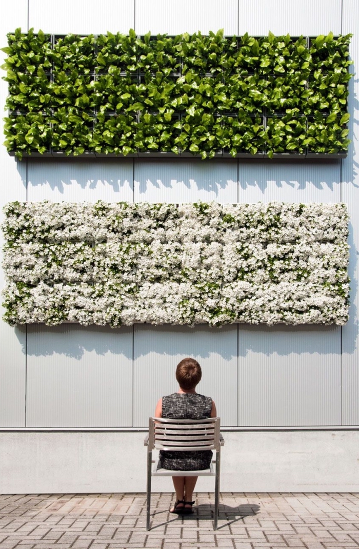conseils pratiques et inspirations pour mettre en place un mur végétal extérieur dans son jardin ou sur les murs du balcon