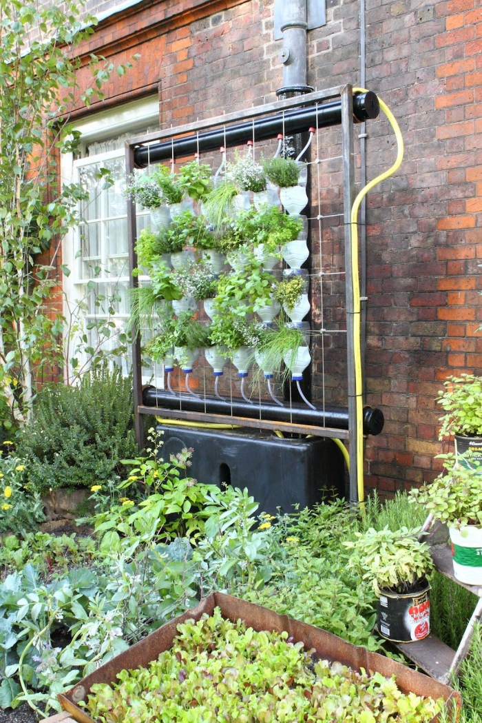 idée originale pour un mur vegetal exterieur avec des bouteilles en plastique et un système d'irrigation automatique