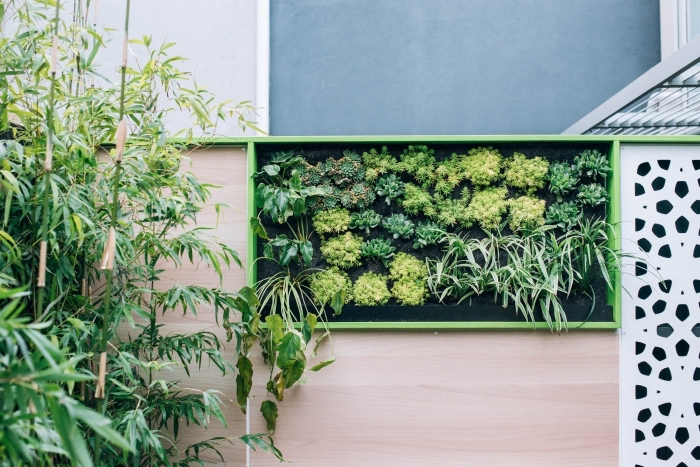 un panneau vegetal qui orne le mur du jardin et invite à la contemplation, comment créer un mini-jardin vertical 