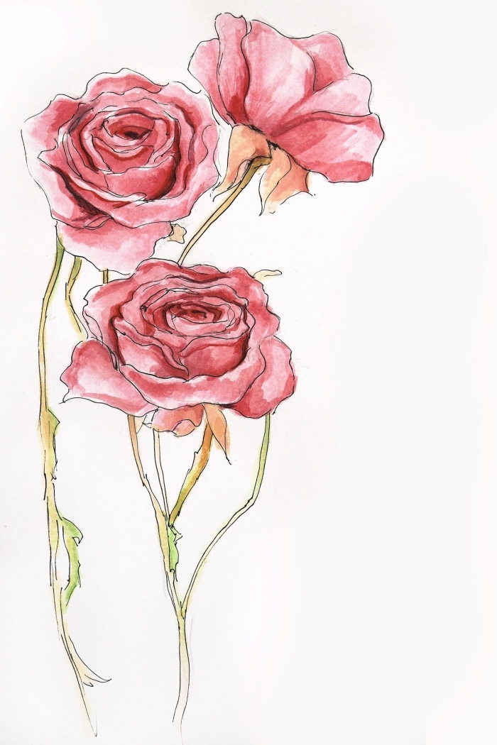 magnifique modèle de dessin rose facile en couleurs aquarelles, idée pour un dessin de rose ouverte rouge, modèle de dessin à reproduire