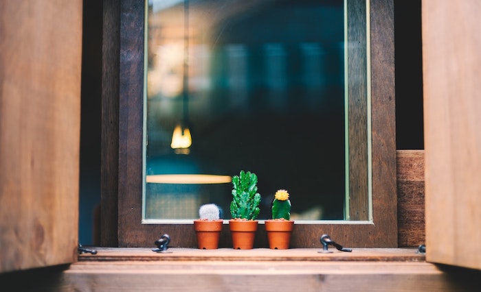 Aménagement chambre 10m2, les meilleures idées pour une cocooning déco de petite chambre adulte, petits cactuses verts sur la fenêtre 
