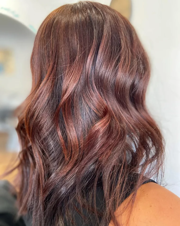 couleur de cheveux marron glace avec meches acajou