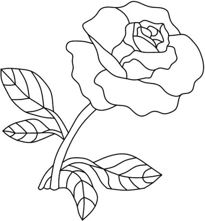 modèle de dessin de fleur à colorer, exemple de dessin facile à reproduire, idée comment faire une rose ouverte au crayon