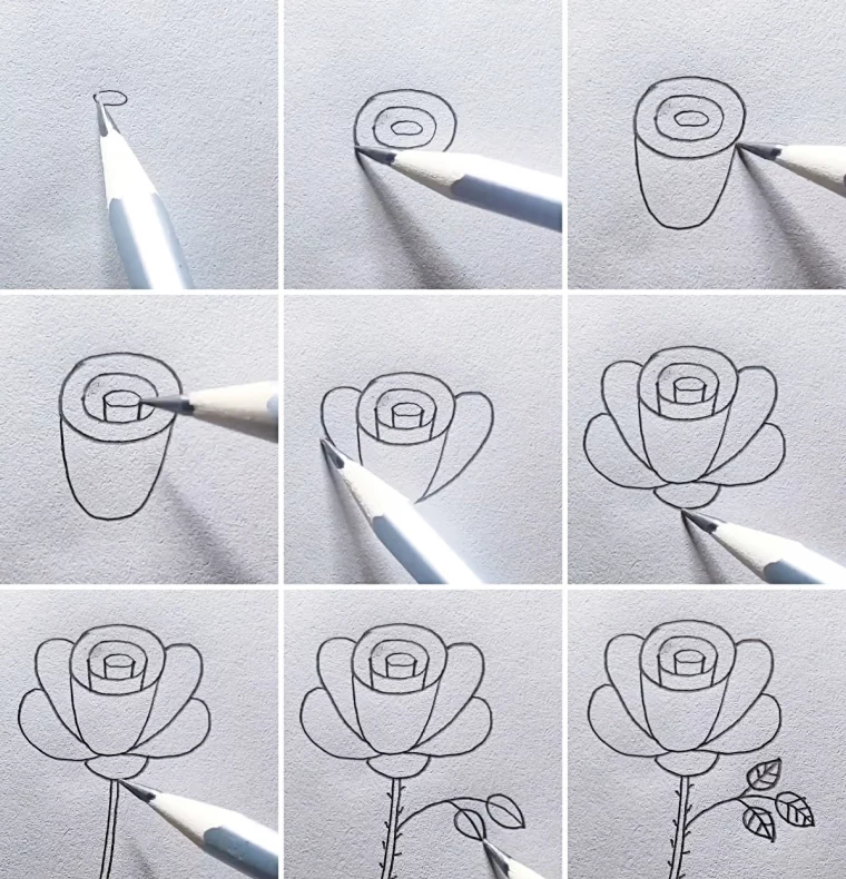 dessin au crayon fleur pas a pas technique spirale tige petales