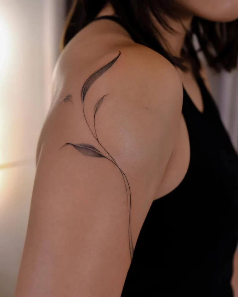 dessin branche feuilles lignes fines epaules bras tatouage